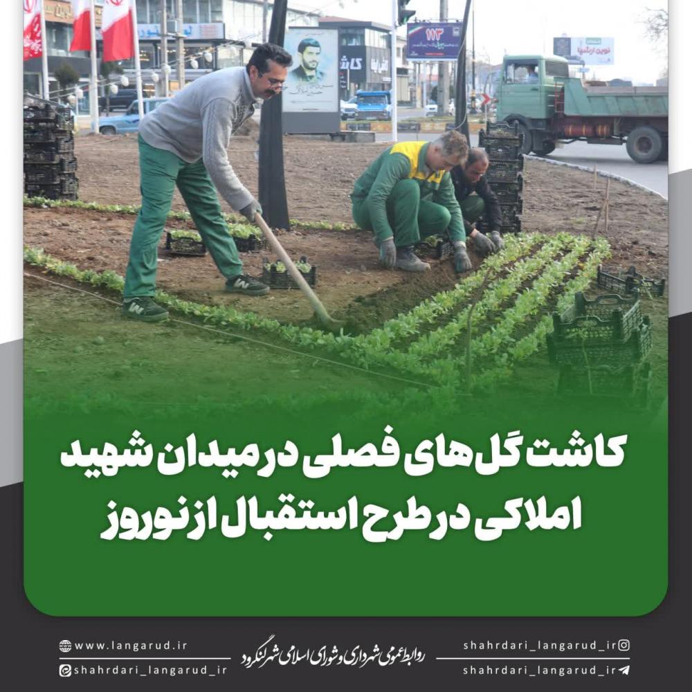 کاشت گل های فصلی در میدان شهید املاکی در طرح استقبال از نوروز