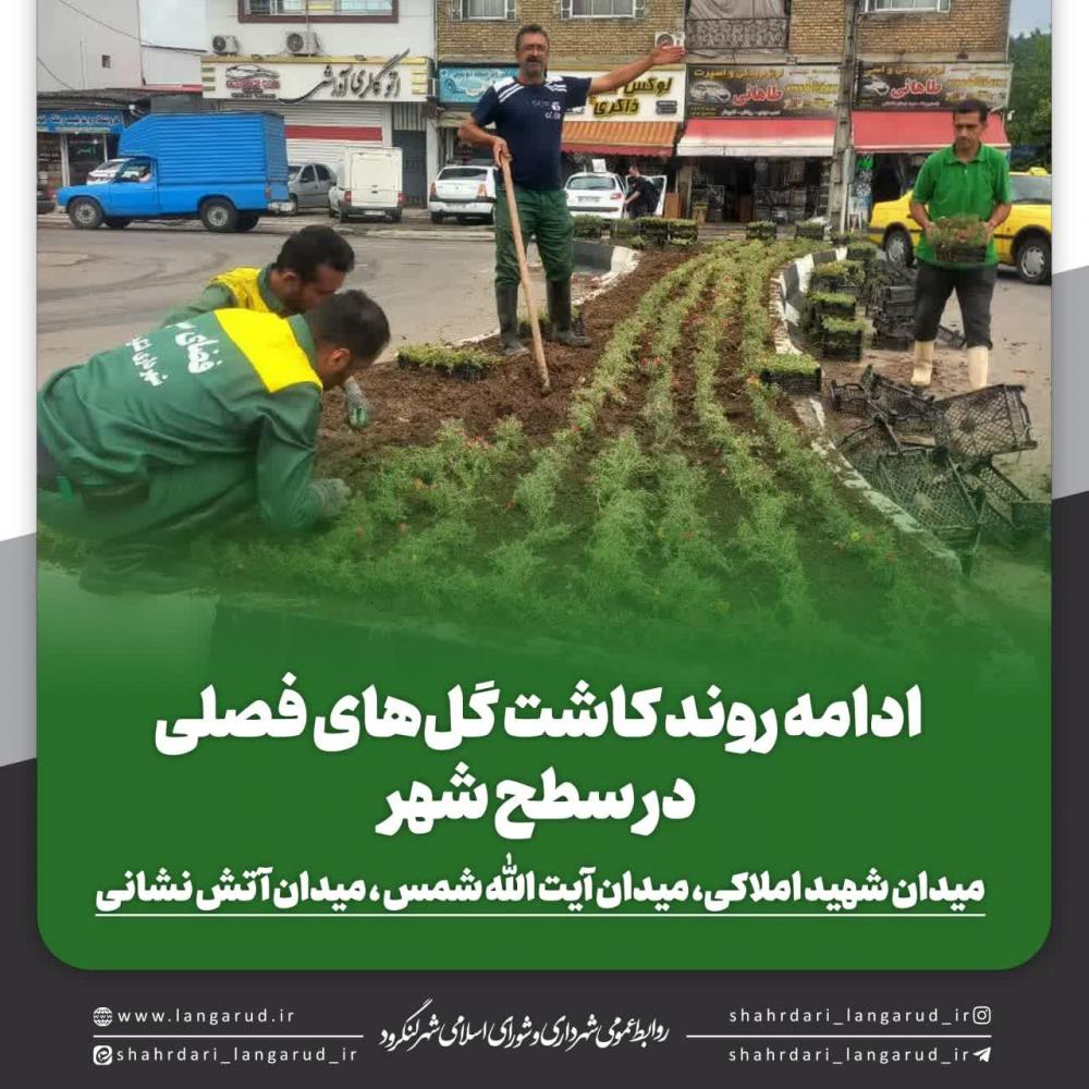 ادامه روند کاشت گل های فصلی در سطح شهر