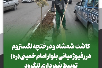 کاشت شمشاد و درختچه لگستروم در رفیوژ میانی بلوار امام خمینی (ره)