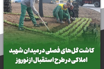 کاشت گل های فصلی در میدان شهید املاکی در طرح استقبال از نوروز