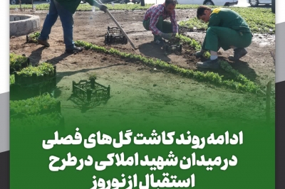 کاشت گل های فصلی در میدان شهید املاکی