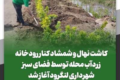کاشت نهال و شمشاد کنار رودخانه زردآب محله