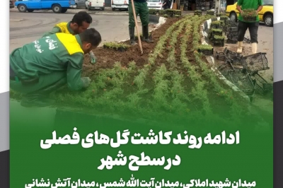 ادامه روند کاشت گل های فصلی در سطح شهر