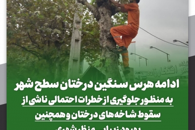 هرس سنگین درختان سطح شهر