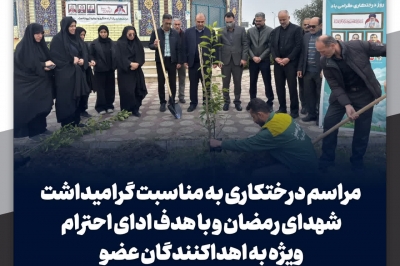  درختکاری در پارک فجر لنگرود