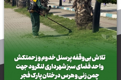 چمن زنی و هرس درختان پارک فجر